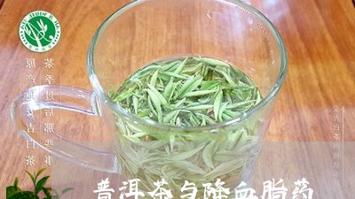 普洱茶与降血脂药/2023040149484