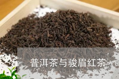 普洱茶与骏眉红茶/2023031638260