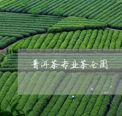 普洱茶专业茶仓图/2023031626480