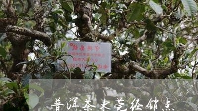 普洱茶东莞经销点/2023040181147