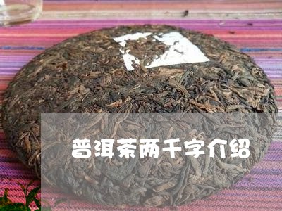 普洱茶两千字介绍/2023033163927