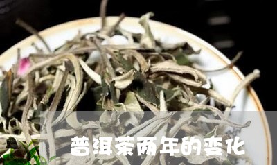 普洱茶两年的变化/2023033143047