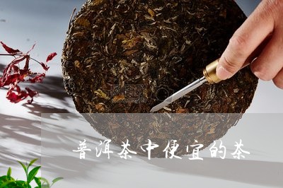 普洱茶中便宜的茶/2023031645259