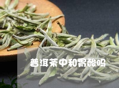 普洱茶中和胃酸吗/2023041287593