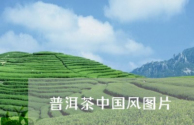 普洱茶中国风图片/2023041013924