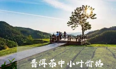 普洱茶中小叶价格/2023031600412