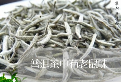 普洱茶中有老鼠味/2023041468515