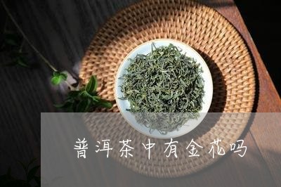 普洱茶中有金花吗/2023041003147