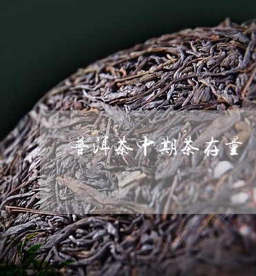 普洱茶中期茶存量/2023041271707