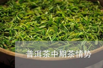 普洱茶中期茶情势/2023031774217