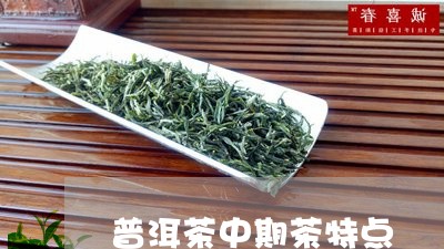 普洱茶中期茶特点/2023031736593