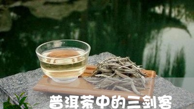 普洱茶中的三剑客/2023033005948