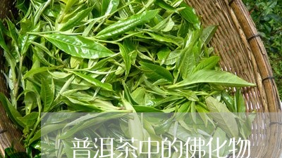 普洱茶中的佛化物/2023041342037