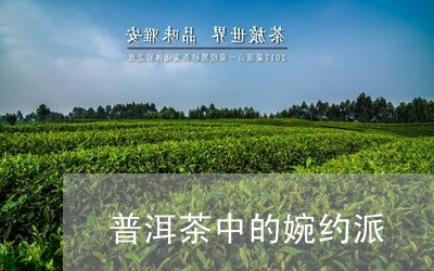 普洱茶中的婉约派/2023031607405