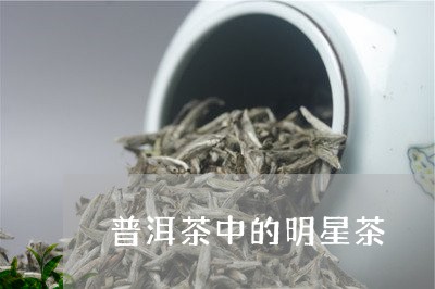 普洱茶中的明星茶/2023041165958