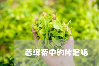 普洱茶中的片是指/2023033191713