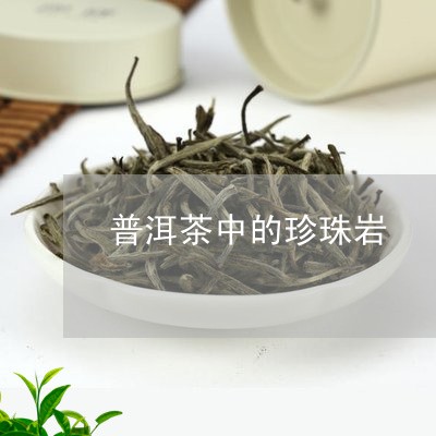 普洱茶中的珍珠岩/2023031689314