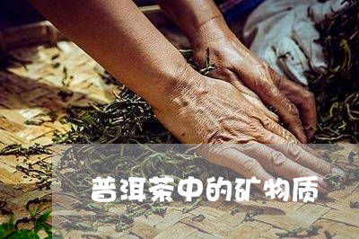 普洱茶中的矿物质/2023033019693