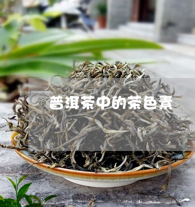 普洱茶中的茶色素/2023033186940