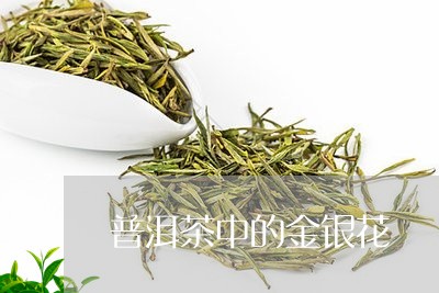 普洱茶中的金银花/2023033115069