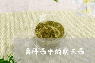 普洱茶中的霸王茶/2023031669483