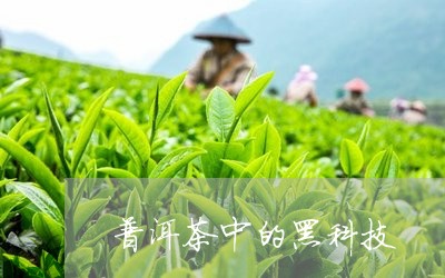 普洱茶中的黑科技/2023031725950