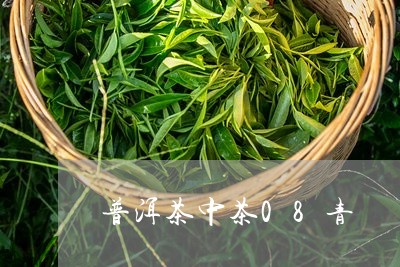 普洱茶中茶08青/2023031699180