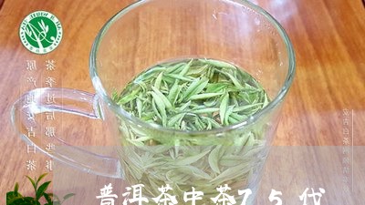 普洱茶中茶75代/2023041201714