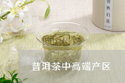 普洱茶中高端产区/2023041388259