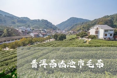 普洱茶临沧市毛茶/2023031793829