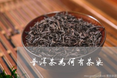 普洱茶为何有茶气/2023041162736