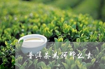 普洱茶为何那么贵/2023040942603