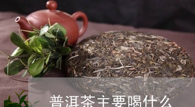 普洱茶主要喝什么/2023041020627