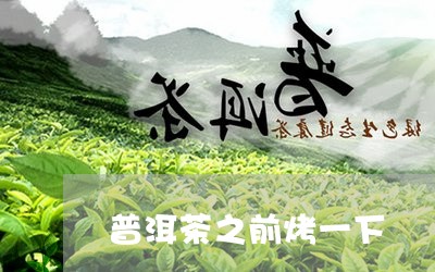 普洱茶之前烤一下/2023033012916