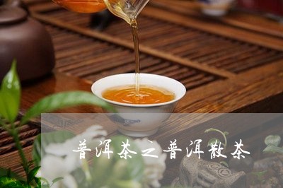 普洱茶之普洱散茶/2023041285237