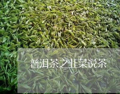 普洱茶之韭菜说茶/2023041183937