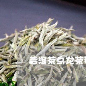 普洱茶乌龙茶岩茶/2023041112513