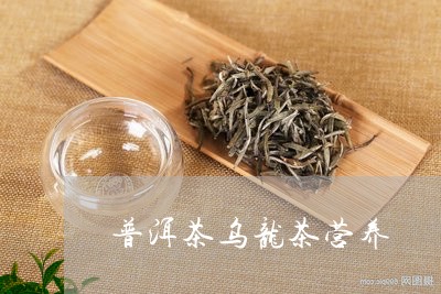 普洱茶乌龙茶营养/2023041164826