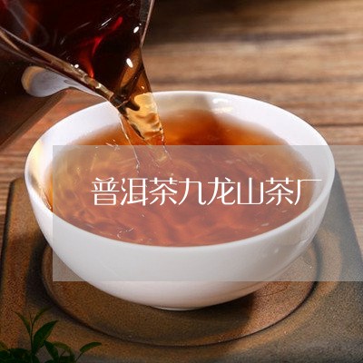 普洱茶九龙山茶厂/2023033092816