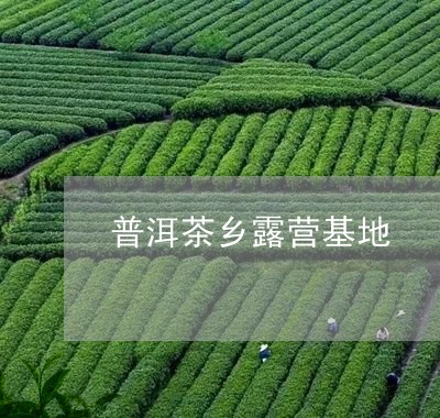 普洱茶乡露营基地/2023041307250