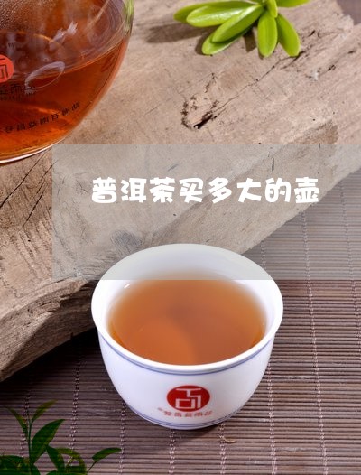 普洱茶买多大的壶/2023031742047