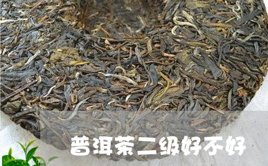 普洱茶二级好不好/2023033034048