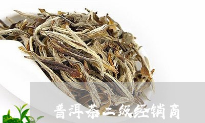 普洱茶二级经销商/2023033079504