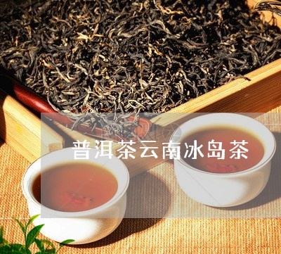 普洱茶云南冰岛茶/2023031710704