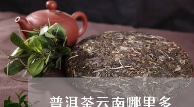 普洱茶云南哪里多/2023041031704