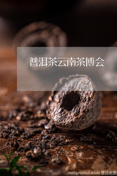 普洱茶云南茶博会/2023031629582