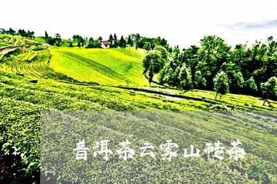 普洱茶云雾山砖茶/2023041026268