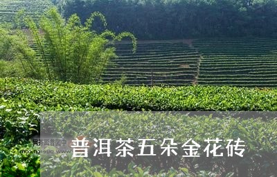 普洱茶五朵金花砖/2023041269371