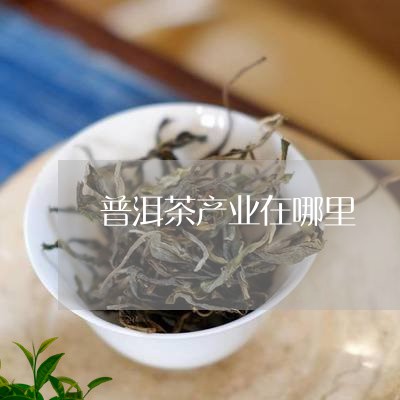 普洱茶产业在哪里/2023041090502