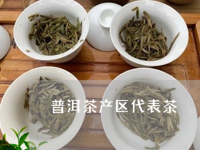 普洱茶产区代表茶/2023031797402